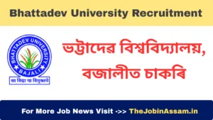 Bhattadev University Recruitment 2025 – Apply for 17 Vacancies