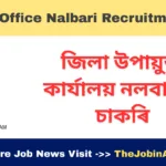 DC Office Nalbari Recruitment 2025 – Apply for DPM & DTSS Posts