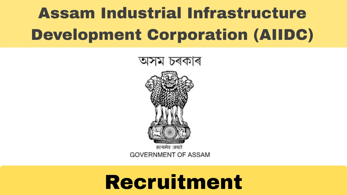 Assam Industrial Infrastructure Development Corporation (AIIDC)