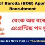 Bank of Baroda Apprentice Recruitment 2025: 2700 Vacancy