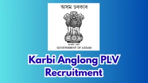 Karbi Anglong PLV Recruitment 2026 – Apply for 41 Para Legal Volunteer Posts