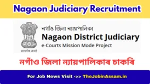 Nagaon Judiciary Recruitment 2026 – Head Administrative Officer / Head Assistant
