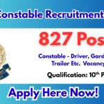 SSB Constable Recruitment 2026 – Apply Online 827 Posts