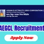 AEGCL Recruitment 2026: Apply for Consultant (Environmental Safeguard) Vacancy