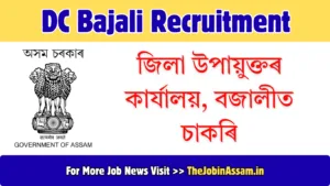 DC Bajali Recruitment 2026 – Apply for 02 GIS Assistant Vacancy