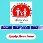 NHM Assam Biswanath Vacancy 2026