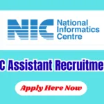NIC Assistant Recruitment 2026: 376 Posts, Apply Online