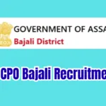 DCPO Bajali Recruitment 2026 – Support Person Vacancy