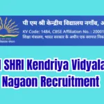 PM SHRI Kendriya Vidyalaya Nagaon Recruitment